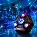 The Party Beast